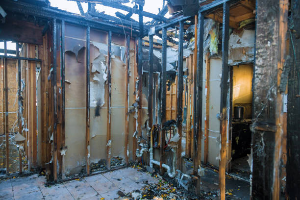 Professional Smoke Damage Removal technician working in Saint Croix Falls, WI